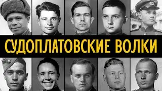 ТАЙНЫЙ ОТРЯД СТАЛИНА: кем на самом деле были «волки» Судоплатова?