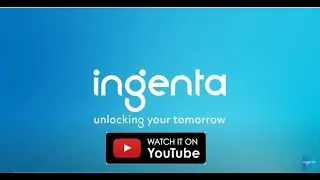 Content Lifecycle Manager - How does it help organisations?