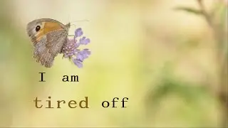Burning Blossoms, Mr. Izreal - chill out (Lyric Video)