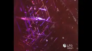 LFG : Inclusions soyeuses