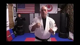 Free Online Martial Arts Course   Sample Virtual Karate Class