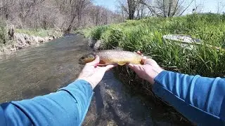 Driftless Fly Fishing - Fennimore, WI