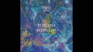 Tetelepta - Veldhuizen LP [ESHU016LP]
