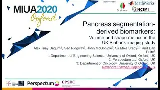 MIUA 2020: Pancreas segmentation-derived biomarkers: volume and shape metrics in the UK Biobank