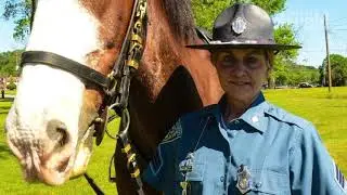 Massachusetts State Police honor memory of horseback patrol leader