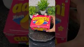 Hocco Aamchi Icecream Unboxing 🍦 | Viral Internet Sensation 😍 #shorts #hocco #aamchi #viralshorts