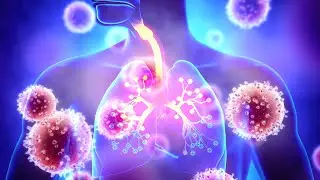 Human Coronaviruses