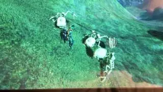 Wearing the Radiant armor set effect on bone mobs