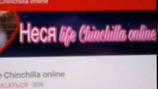 Превет каналу Неся life chunchila online...
