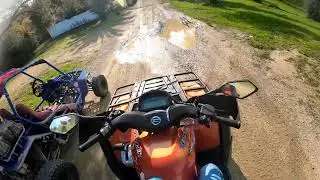 buggy Kawasaki z750 & cfmoto terralander 800