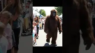 Coming Soon!  The 2025 South Carolina Bigfoot Festival
