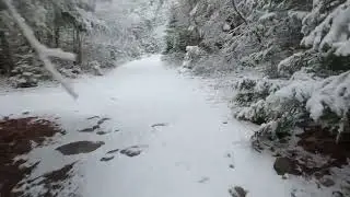 Snowy Forest Trail to Dense Woods - FPV flight