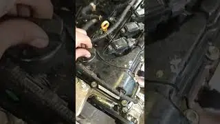 engine oil pump check up