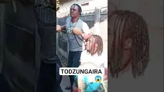 MBIRA MASTER PEACE (TODZUNGAIRA), ZIMBABWEAN TRADITIONAL MUSIC #mbira #zimbabwe #shorts