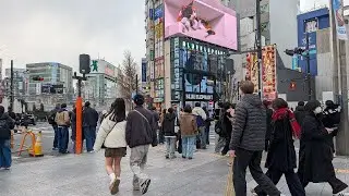 【高画質FHDお散歩ライブカメラ】新宿　散歩　Shinjyuku walking【live camera】2026/01/29