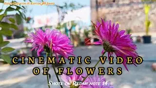 Let's feel The Nature In Slo-mo Flowers || Enjoy The Some Cinematic Video Of Flowers ❤️|| 2026