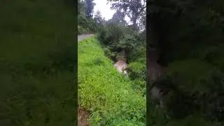 Kerala Idukki heavy rain