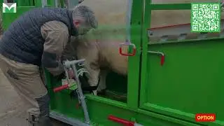 Marechalle-Pesage - Stand contentie bovine PM 2400