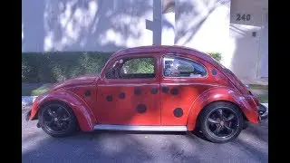 Fusca fuscao Carro da Ladbug Joaninha entrevistado na televisão segredos desvendados trolei placa