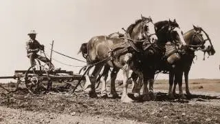 Morris Company Video June 2017