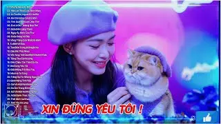 Xin Đừng Y&ecirc;u T&ocirc;i ♫Allbum Electro Ballad 80s S&ocirc;i Động 2025|Phần 47-Nhạc Chill G&acirc;y Nghiện