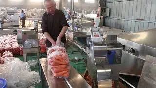 Carrot cube cut machine 20210605