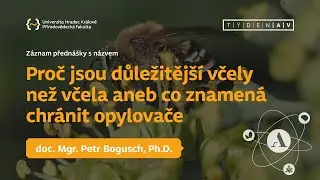 Proč jsou důležitější včely než včela aneb co znamená chránit opylovače | doc. Petr Bogusch