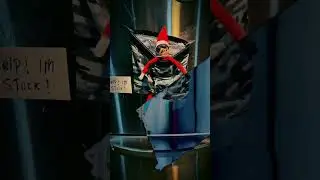 &ldquo;Help! I&rsquo;m stuck- Elf&rdquo; 🎅😂 day 2.