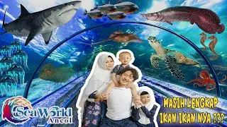 KONDISI TERKINI SEAWORLD ANCOL DI MUSIM LIBURAN SEKOLAH