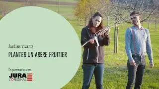 Comment planter un arbre fruitier
