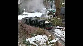 #gardenrailway #train #lgbtrains #modeltrains #gartenbahn #lgb #railroad #railway #Livesteam
