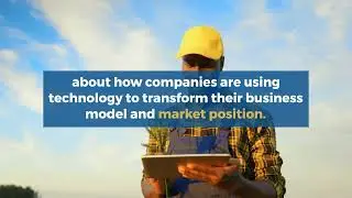 What is the innovation economy?
