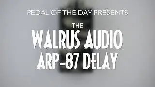Walrus Audio // ARP-87 Multi-Function Delay (Demo)