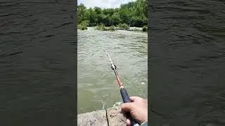Smyrna Tennessee catfishing