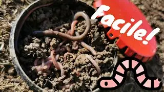 Ramasser des vers de terre FACILEMENT!