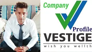 Vestige company profile