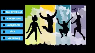 The Perma Model - The Bricks of Happiness and Wellbeing