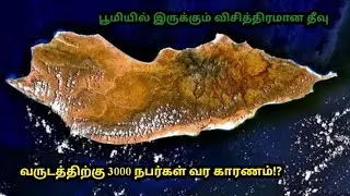 Mystery (Socotra)Island - Explain Tamil | வாழ்க்கையில் ஒரு தடவையாவது போகவேண்டிய தீவு