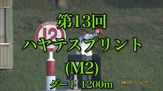 【第13回 ハヤテスプリント （M2）】 2025 7/8 盛岡競馬場