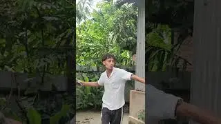 # amar bow ra dak sao#funnyreels #funnyvideos #funny #shorts #viralchallenge #viralvideo #fyp #villa