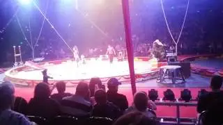 Shrine Circus 2017 (3)