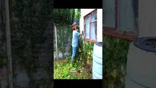#lawnmower #mowing #mowingthelawn #cleaning #story