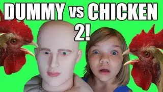 Dummy vs. Chicken 2! The Ultimate Showdown