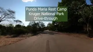 Punda Maria Rest Camp in Northern Part of Kruger National Park, South Africa