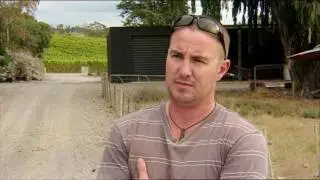 Yealand Carbon Zero Wine Production
