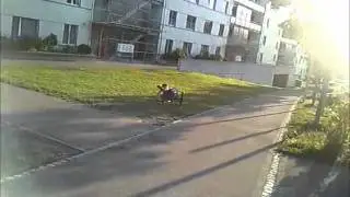 Die Fahrt im Babysitz