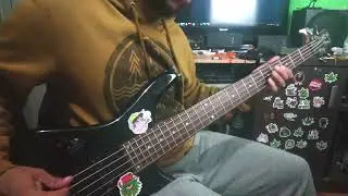 Raimundos Baile Funky - bass cover Henrique Carvalho