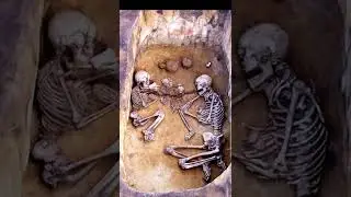Millions of years old skeletons are still found in this condition. | Skeleton fossil | science | short | Shikshaseries