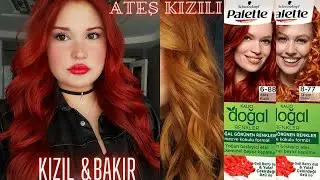 Evde bakır kızıl saç boyama,açıcısız harika canlı saçlar💥 ateş kızılına dönüş,deniz kızı oldum🧜🏻