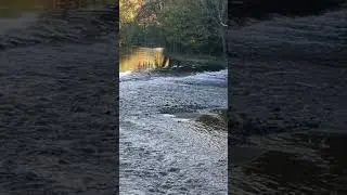 the river is ever changing #RiverBann #flyfishing